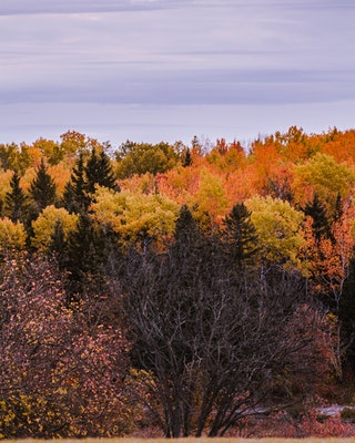 Hotel SMQA TestLHBBulk 297